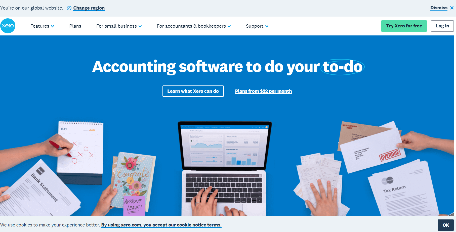 xero invocing global software