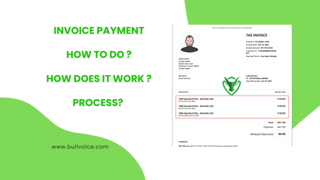 How to do Invoice Payment? How does it work ? - Bullvoice - Bullvoice